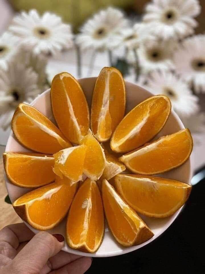 Loại quả amp;#34;tốt nhất thế giớiamp;#34; chỉ có ở Phú Thọ, thành đặc sản nổi tiếng được ưa chuộng, trồng một lần thu hoạch nhiều năm - 2