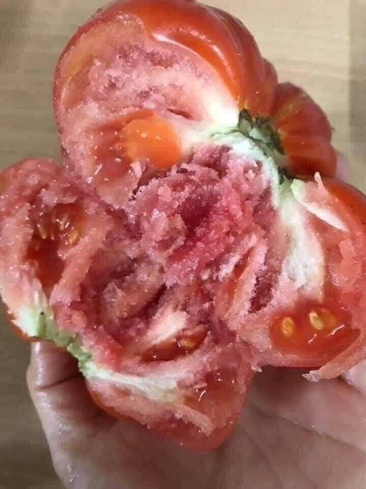 Loại quả “tốt nhất thế giới” chỉ có ở Sơn La, trồng 3 tháng cho thu hoạch, thành đặc sản nổi tiếng 80.000 đồng/kg - 5