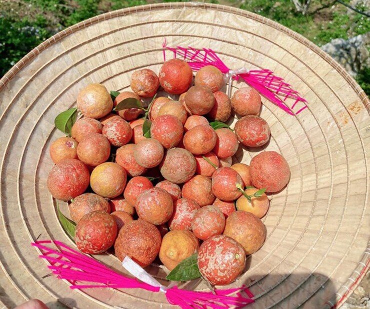 Loại quả amp;#34;tốt nhất thế giớiamp;#34; chỉ có ở Sơn La, trồng một lần thu hoạch nhiều năm, thành đặc sản nổi tiếng 70.000 đồng/kg - 2