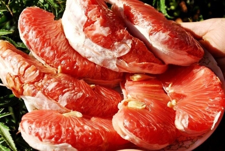 Loại quả amp;#34;tốt nhất thế giớiamp;#34; chỉ có ở Thanh Hoá, trồng một lần thu hoạch nhiều năm, thành đặc sản được ưa chuộng dịp Tết - 3