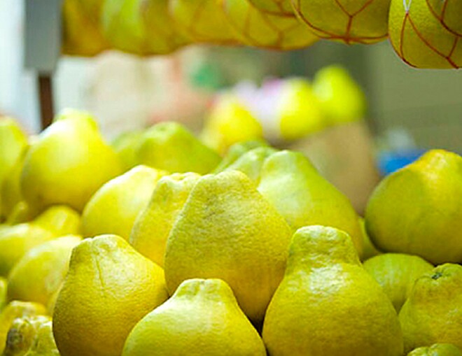 Loại quả amp;#34;tốt nhất thế giớiamp;#34; chỉ có ở Vĩnh Long, trồng một lần thu hoạch nhiều năm, thành đặc sản được ưa chuộng - 3