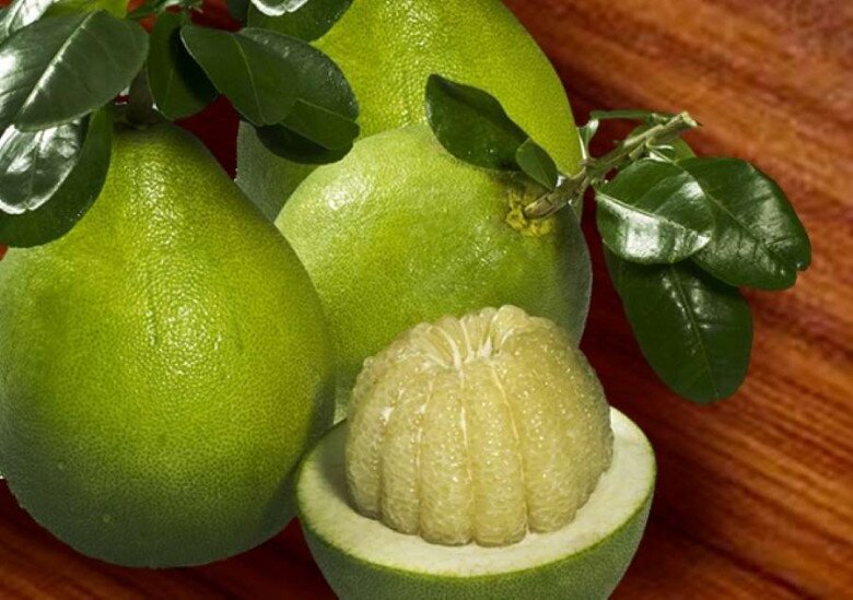 Loại quả amp;#34;tốt nhất thế giớiamp;#34; chỉ có ở Vĩnh Long, trồng một lần thu hoạch nhiều năm, thành đặc sản được ưa chuộng - 2