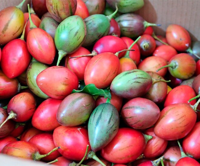 Loại quả amp;#34;tốt nhất thế giớiamp;#34;, Việt Nam trồng bạt ngàn thành đặc sản nổi tiếng giá 70.000 đ/kg, tốt cho sức khoẻ - 1