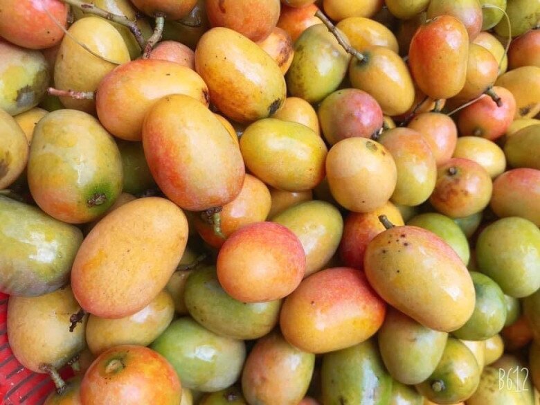 Loại quả xưa chín rụng đầy gốc nay thành đặc sản có hương vị gây amp;#34;nghiệnamp;#34;, 65.000 đồng/kg chị em thành phố thích mê - 2
