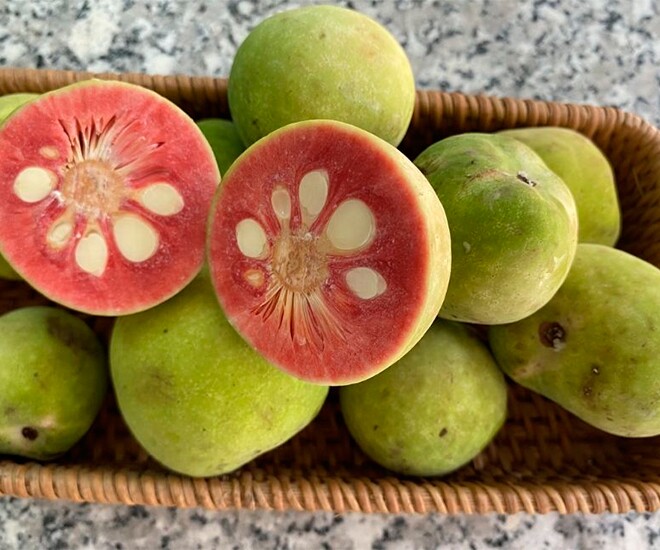 Loại quả dại xanh hay chín đều ăn được, xưa rụng đầy sân giờ thành đặc sản được ưa chuộng, tốt cho sức khoẻ - 1