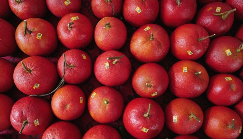 Loại quả xưa không ai ngó ngàng, nay thành đặc sản được dân thành phố ưa chuộng dịp Tết 2026, 400.000 đồng/quả - 2