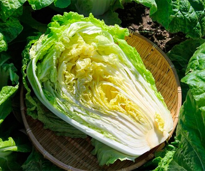 Loại rau amp;#34;tốt bậc nhất thế giớiamp;#34;, Việt Nam trồng bạt ngàn thành đặc sản giá từ 10.000 đồng/kg, tốt cho sức khỏe - 1