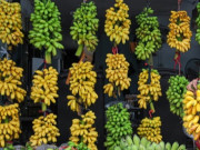 Tiêu dùng - Loại quả "tốt nhất thế giới" chỉ có ở Ninh Bình, trồng 9 tháng cho thu hoạch, thành đặc sản hút khách dịp Tết giá 80.000 đ/kg