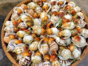 Tiêu dùng - Đặc sản có tên "ngượng đỏ mặt", xưa không ai biết nay thành món khoái khẩu được ưa chuộng 200.000 đ/kg, thu hoạch quanh năm