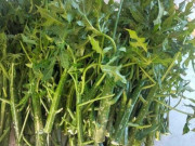 Tiêu dùng - Cây mọc bờ rào "ngọt như mì chính", trồng một lần hái bán quanh năm, thành đặc sản có hương vị lạ được ưa chuộng