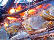 Lifestyle - Đặc sản có tên kỳ cục, ngon hơn ghẹ rẻ hơn cua được du khách "săn lùng", muốn ăn nhất định phải đến nơi này