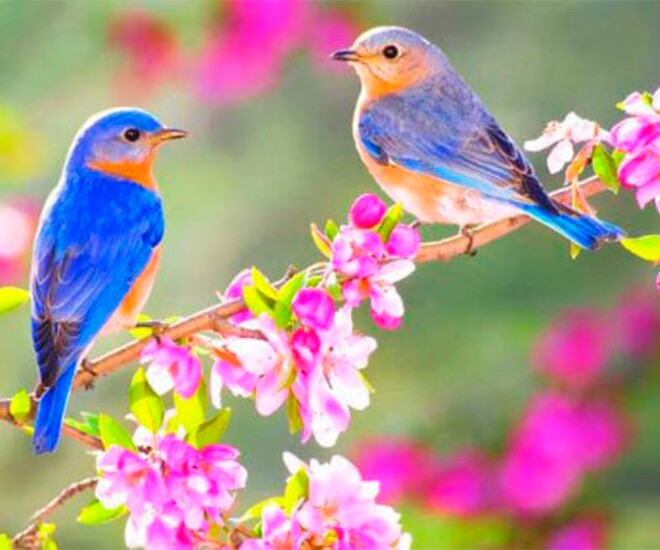 Ngày mai là tiết Lập Xuân năm 2026: 3 việc nên làm, 4 điều nên tránh để cả năm Bính Ngọ đón tài lộc, may mắn - 1