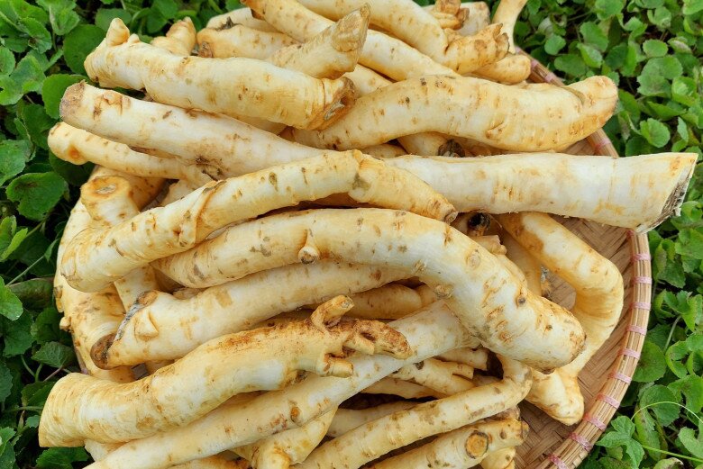 Thứ rễ cây nhiều người vứt bỏ, nay thành đặc sản khoái khẩu dịp Tết giá 400.000 đồng/kg, tốt cho sức khoẻ - 2