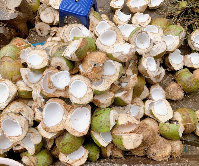 Thứ xưa dành cho amp;#34;người nghèoamp;#34; nay thành đặc sản Tết Bính Ngọ 2026, được ưa chuộng giá 250.000 đ/kg, tốt cho sức khỏe - 1