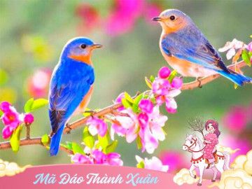 Tin tức - Ngày mai là tiết Lập Xuân năm 2026: 3 việc nên làm, 4 điều nên tránh để cả năm Bính Ngọ đón tài lộc, may mắn