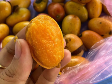Loại quả xưa chín rụng đầy gốc nay thành đặc sản có hương vị gây nghiện, 65.000 đồng/kg chị em thành phố thích mê