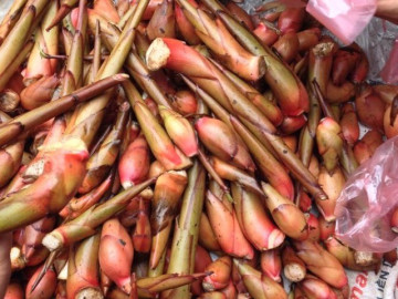 Thứ xưa người nghèo ăn cứu đói, nay thành đặc sản vùng cao được ưa chuộng trong nhà hàng, hương vị đặc biệt