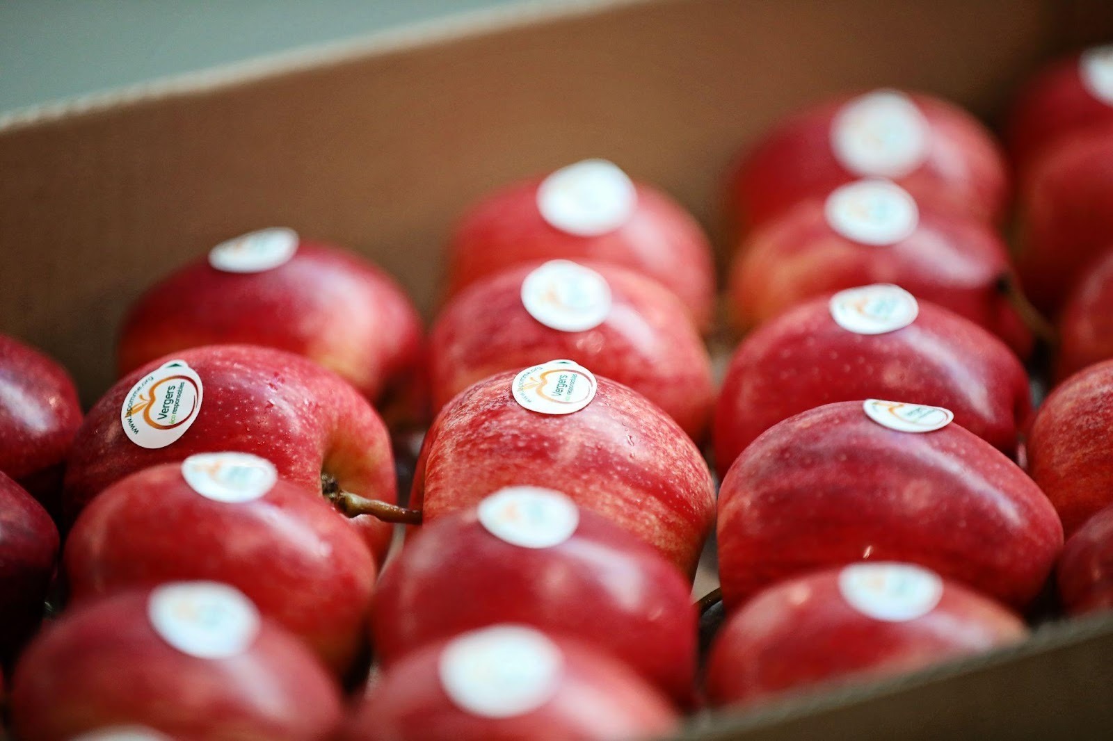 Táo Pháp được đóng gói và dán nhãn trước khi đưa ra thị trường (Ảnh: DNCC)