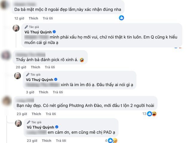 Nhiều bình luận lên tiếng bênh vực Á hậu Vũ Thúy Quỳnh.