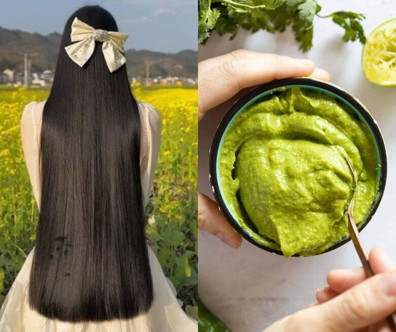 Bơ chứa nhiều axit b&eacute;o v&agrave; vitamin gi&uacute;p t&oacute;c mềm mượt. Trộn bơ với dầu dừa hoặc dầu &ocirc; liu để ủ t&oacute;c, hỗ trợ giảm kh&ocirc; xơ, tăng độ b&oacute;ng.