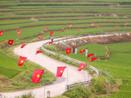 Đẹp mê mẩn con đường rợp cờ đỏ sao vàng ở xứ Thanh mừng ngày bầu cử