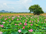 Tin tức - Tỉnh nào mệnh danh là "vương quốc trái cây", nơi vua Gia Long từng đóng quân, ghi nhiều dấu ấn vang danh sử Việt?