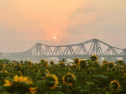 Lifestyle - Bến hoa Phúc Xá hồi sinh, thành điểm "săn" bình minh hot