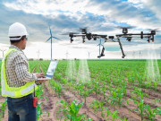 Tin tức - 6 công việc “hái ra tiền” trong những năm tới, trở thành xu hướng nghề nghiệp siêu HOT trên thị trường tuyển dụng