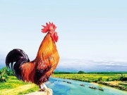 Tin tức - Tỉnh nào một con gà gáy cả ba nước cùng nghe, nơi đâu được mệnh danh “miền gái đẹp” nổi tiếng Việt Nam?
