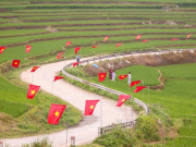 Tin tức - Đẹp mê mẩn con đường rợp cờ đỏ sao vàng ở xứ Thanh mừng ngày bầu cử