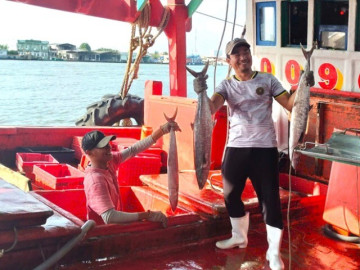 Ngư dân Cà Mau trúng đậm cá ba thú, mỗi chuyến đi biển thu về tiền tỷ