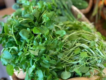 12 loại rau củ tốt nhất thế giới, được ĐH Harvard vinh danh, có loại bán đầy chợ Việt, giá từ 10.000 đồng/bó