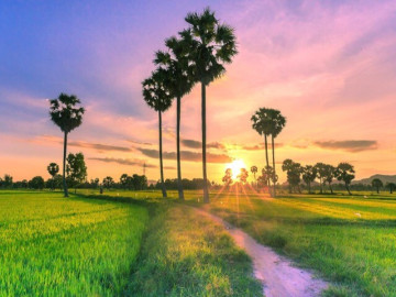 Tỉnh nào được mệnh danh là “Vùng đất Thánh”, nơi đâu gắn với dấu tích của vua Gia Long, nổi tiếng trong sử Việt?