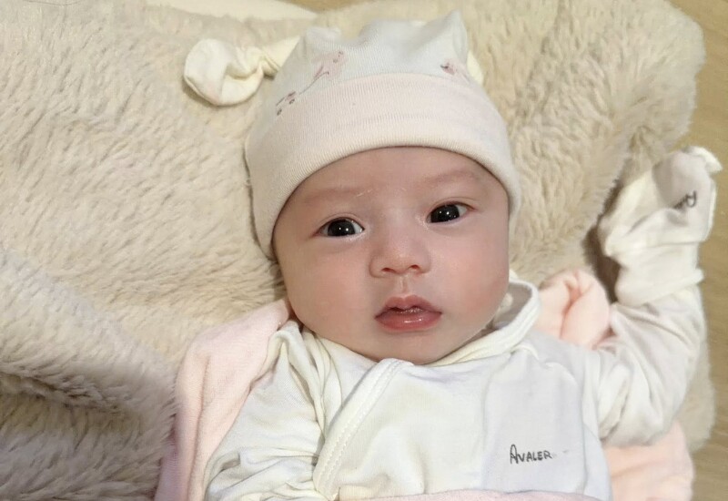 Những em bé xinh xắn, có vẻ ngoài đáng yêu luôn thu hút sự chú ý của nhiều người. 