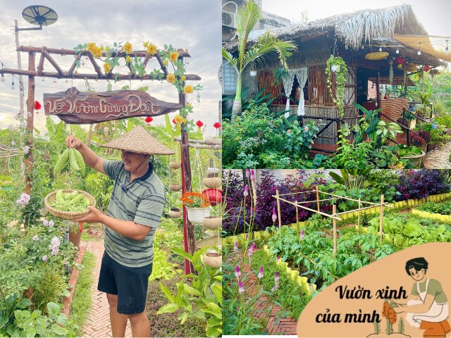 Bỏ phố về quê, chàng trai 9X Vĩnh Long chi 100 triệu làm nhà vườn 600m2 đẹp mê trồng đủ thứ rau củ, có cả ao cá