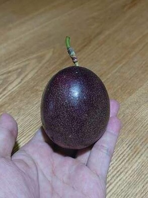 Con luôn miệng khen cơm trưa ở trường ngon, mẹ vô tình kiểm tra cặp sách thấy thứ đồ bé mang về, lập tức kiện hiệu trưởng - 3