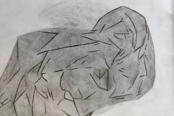 Em trai 15 tuổi ra đi mãi mãi, anh trai phát hiện tập tranh vẽ kỳ lạ cậu để lại, sự thật ngỡ ngàng lộ diện - 1