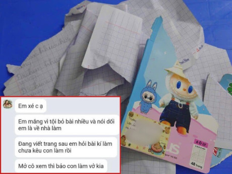 Yêu con - Con tiểu học đến lớp bỏ bài nhiều và nói dối bị cô giáo xé vở, mẹ Việt lên mạng bức xúc gây tranh cãi