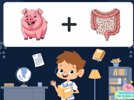 Đuổi hình bắt chữ: Đoán tên các câu ca dao, thành ngữ, tục ngữ Việt Nam bắt đầu bằng chữ C