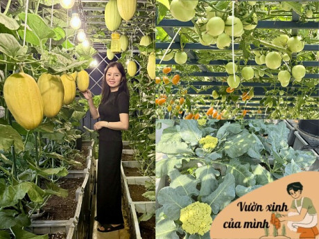 Nhà đẹp - Mẹ đảm Quãng Ngãi biến sân thượng ngôi nhà thành khu vườn 100m2 rau củ gì cũng có, ăn quanh năm không hết