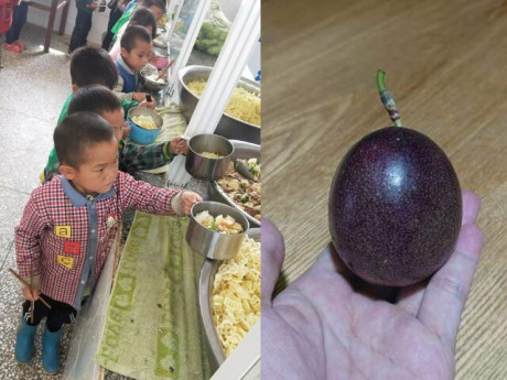 Yêu con - Con luôn miệng khen cơm trưa ở trường ngon, mẹ vô tình kiểm tra cặp sách thấy thứ đồ bé mang về, lập tức kiện hiệu trưởng