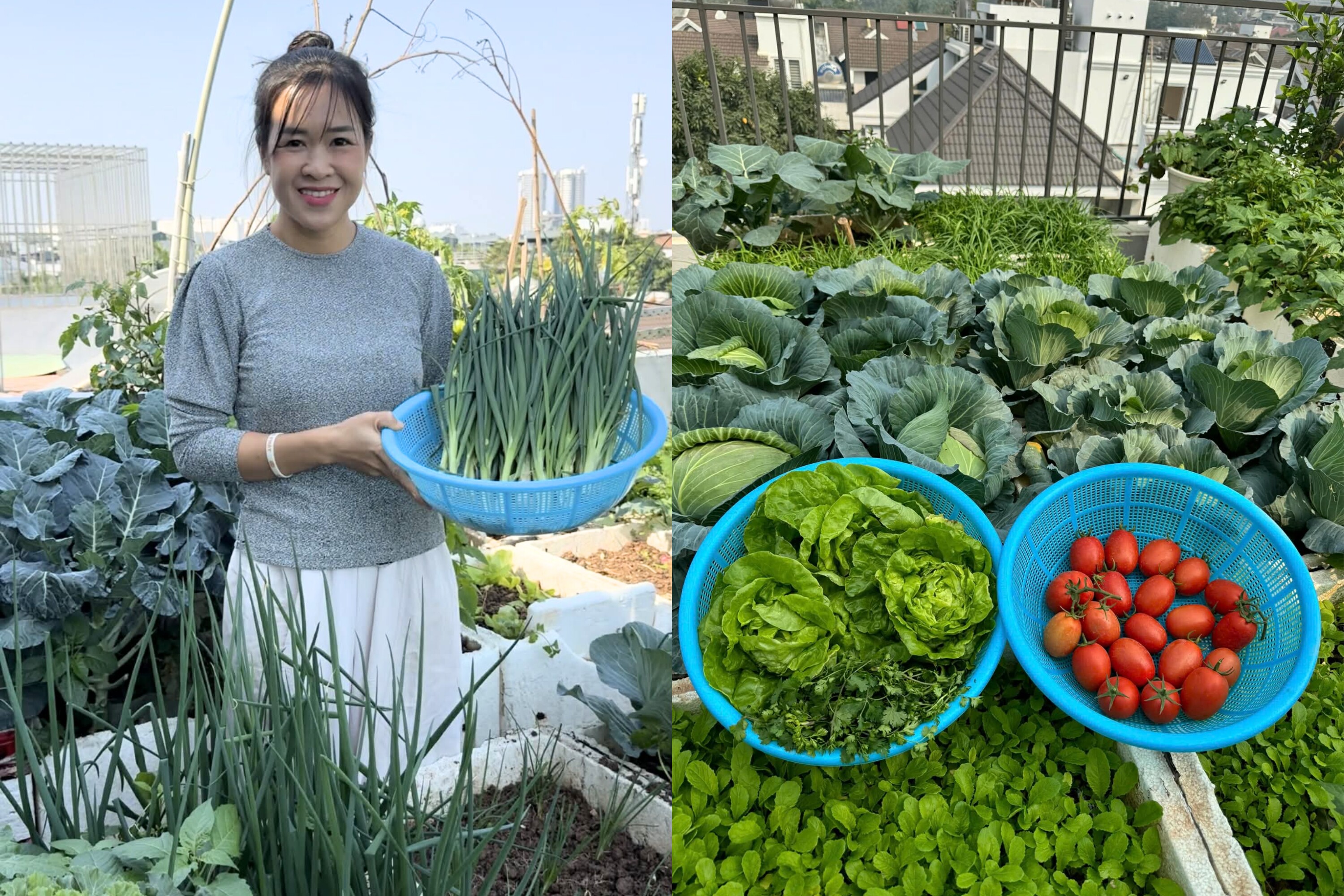 Lo ngại thực phẩm bẩn, mẹ 8X Hà Nội chi 10 triệu biến sân thượng nhà thành khu vườn đẹp xanh không thiếu rau gì - 2