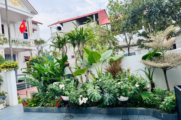 Mẹ đảm Bắc Ninh biến ngôi nhà thành tổ ấm phủ đầy hoa lá, khu vườn sân thượng 90m2 sum suê rau củ - 5