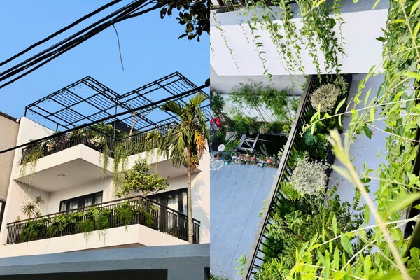 Mẹ đảm Bắc Ninh biến ngôi nhà thành tổ ấm phủ đầy hoa lá, khu vườn sân thượng 90m2 sum suê rau củ - 6