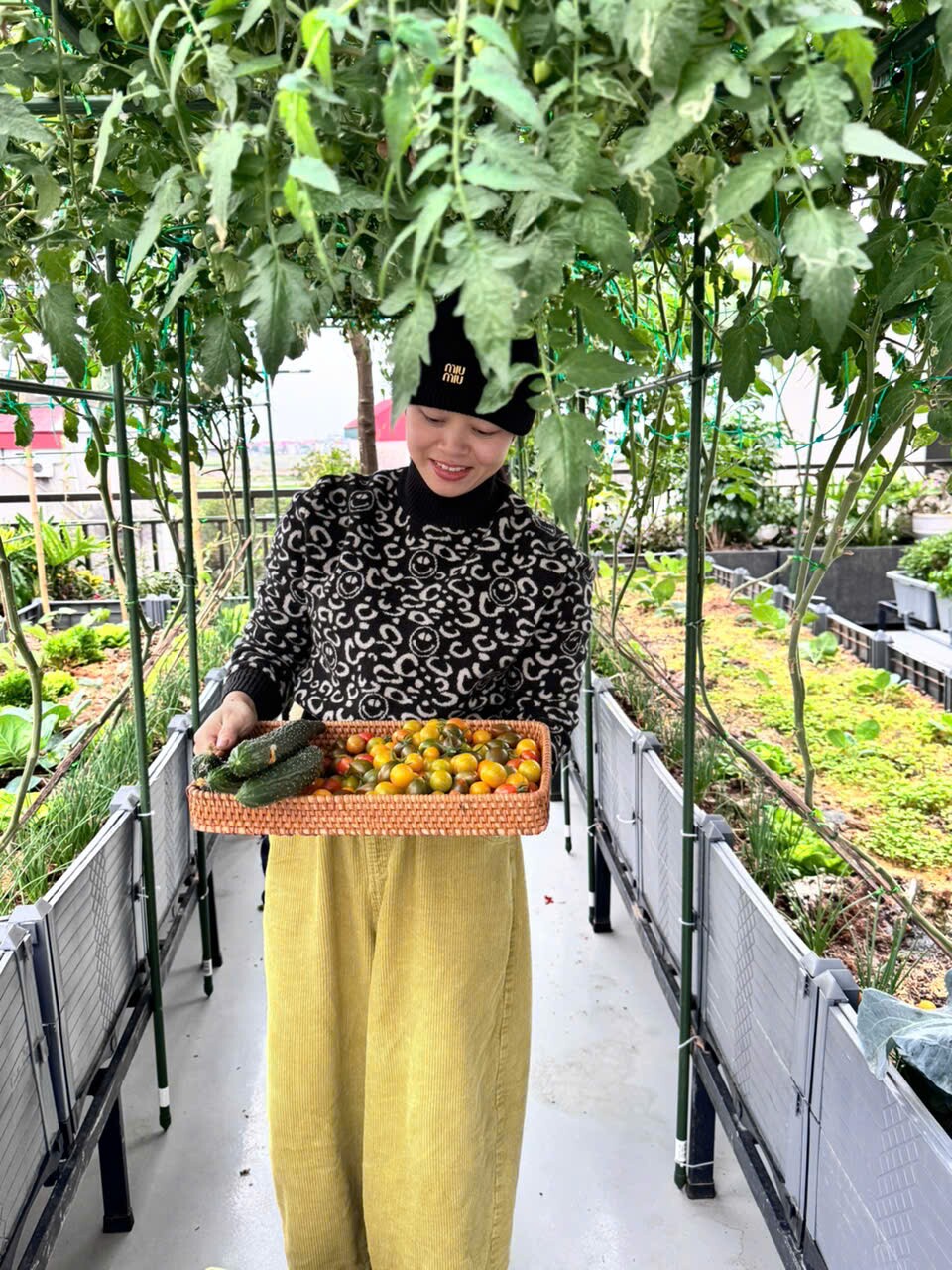 Mẹ đảm Bắc Ninh biến ngôi nhà thành tổ ấm phủ đầy hoa lá, khu vườn sân thượng 90m2 sum suê rau củ - 1