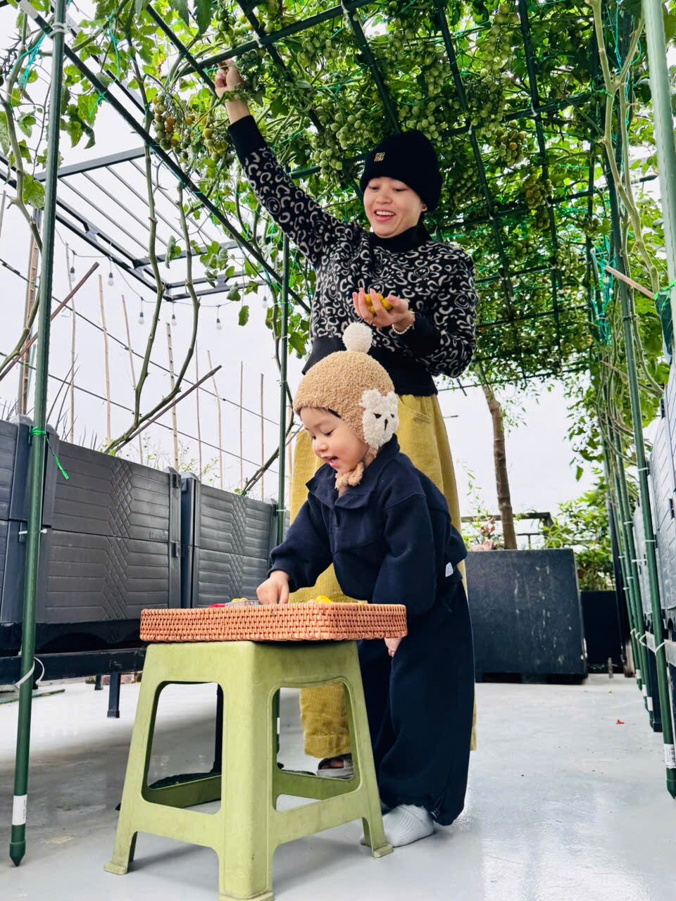 Chị Thương và khu vườn trên sân thượng.