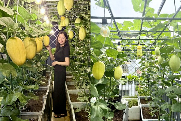 Mẹ đảm Quãng Ngãi biến sân thượng ngôi nhà thành khu vườn 100m2 rau củ gì cũng có, ăn quanh năm không hết - 9