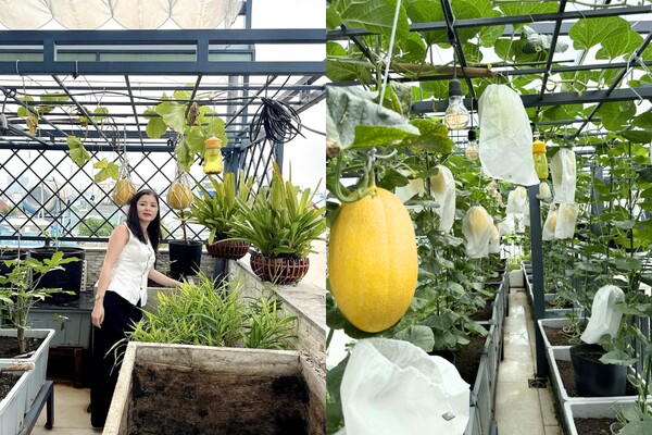 Chị Quyên và vườn rau củ trên sân thượng nhà.