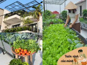 Nhà đẹp - Mẹ đảm Bắc Ninh biến ngôi nhà thành tổ ấm phủ đầy hoa lá, khu vườn sân thượng 90m2 sum suê rau củ