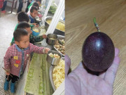 Yêu con - Con luôn miệng khen cơm trưa ở trường ngon, mẹ vô tình kiểm tra cặp sách thấy thứ đồ bé mang về, lập tức kiện hiệu trưởng